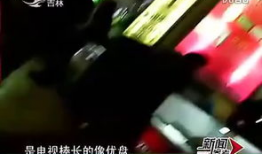 7maV视频,揭秘科技与艺术的完美融合